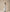 Off White Set - Halter Smocked Vest & High Waisted Linen Long Pants