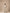 Beige Linen 2 Pieces Set