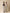 High Waisted Long Beige Pants